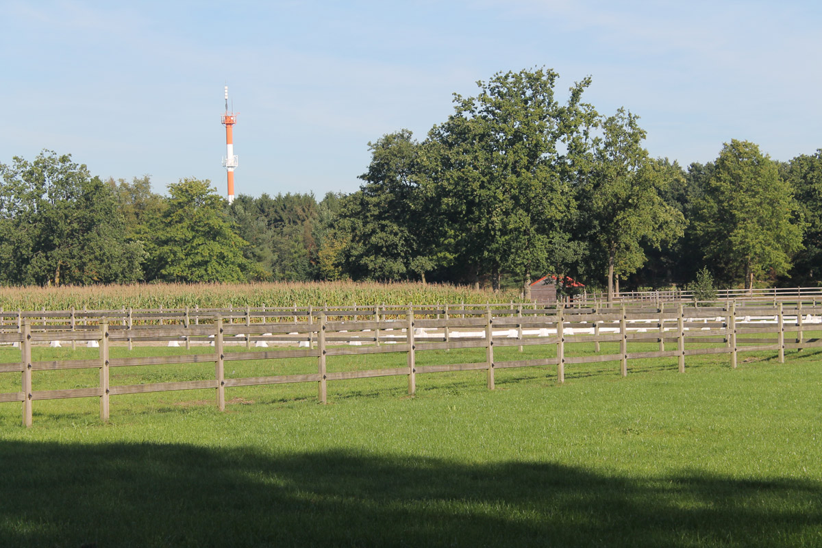 Paardenomheining Oud-Turnhout (BE) Omheiningen Okan