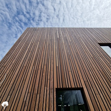 Maison Ronald Mc Donald - Amsterdam (NL) Revêtement de mur en bois Afrormosia 2