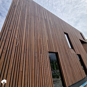 Maison Ronald Mc Donald - Amsterdam (NL) Revêtement de mur en bois Afrormosia 9