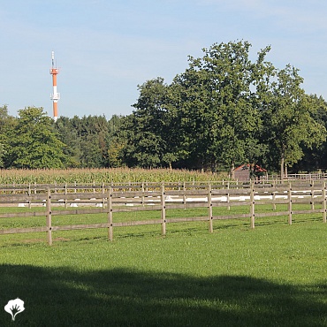 Paardenomheining Oud-Turnhout (BE) Omheiningen Okan 0