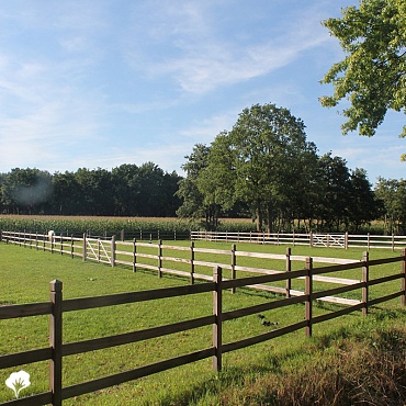 Paardenomheining Oud-Turnhout (BE) Omheiningen Okan 2