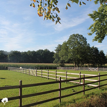 Paardenomheining Oud-Turnhout (BE) Omheiningen Okan 3