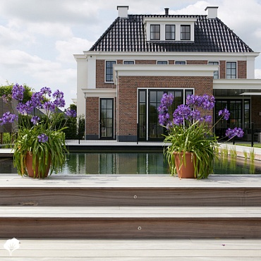 Plateforme Padoek - Hoorn (NL) Terrasse en bois Padoek 9