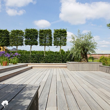 Plateforme Padoek - Hoorn (NL) Terrasse en bois Padoek 0