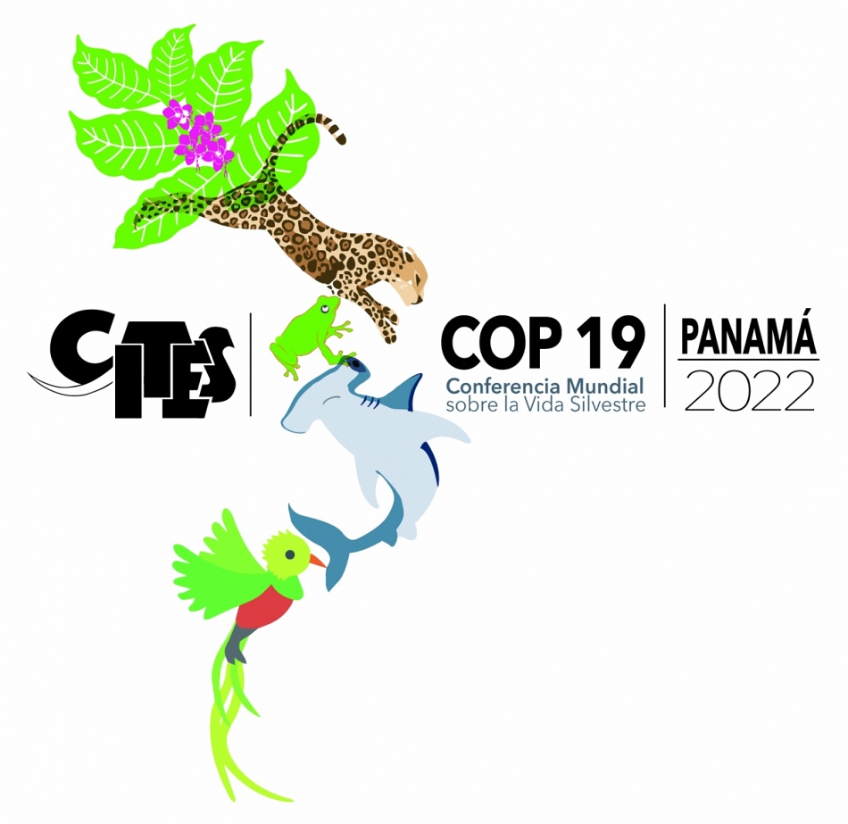 Padouk and afzelia on the CITES II list for protected timber species?